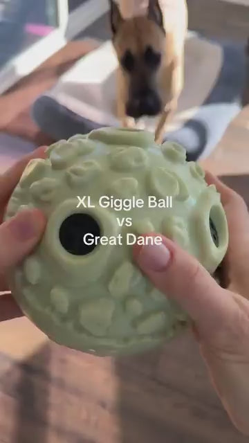 Giggle Ball reaction 5