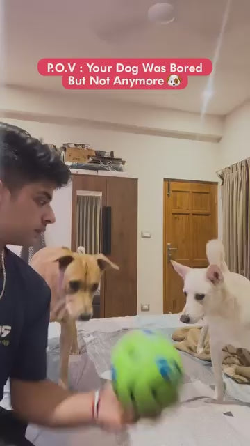 Giggle Ball reaction 2
