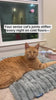 Orange cat on the gray self-warming mat