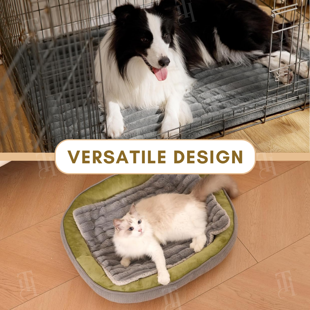 Dog and cat resting on the self-warming mat