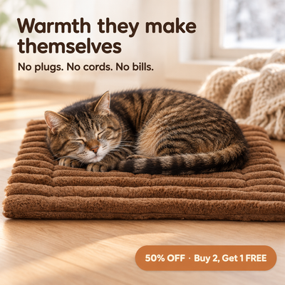 Senior tabby cat asleep on the brown self-warming pet mat